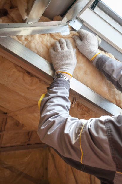 Best Insulation Installation Services in Florin, CA
